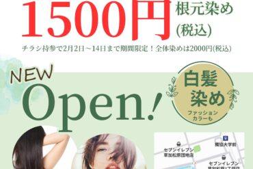 【はじめての方限定】プロの白髪染めをもっと身近に。初回特別価格のご案内